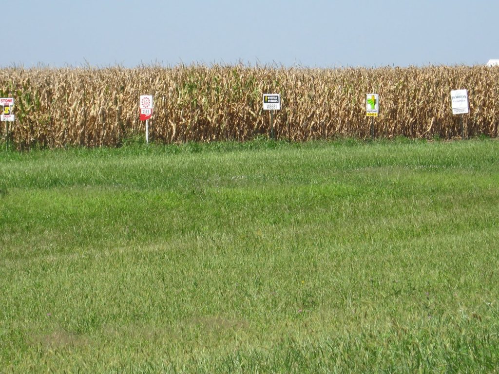 Iowa farmland field used to illustrate farmland appraisal and broker price opinion comparisons