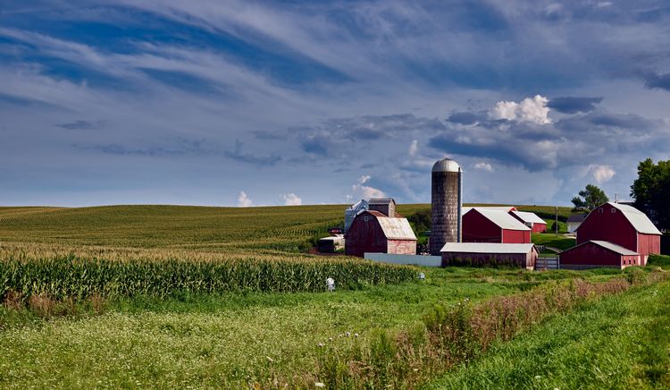 Iowa farmland with rolling fields, corn rows, red barns, and a silo under a blue sky.