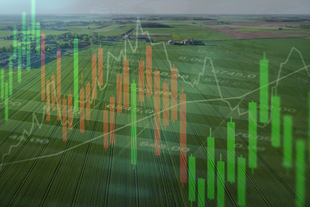 An aerial view of farmland with overlaid stock market candlestick charts symbolizing farmland investment and market trends.