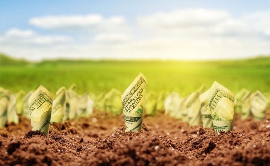 Rows of U.S. dollar bills emerging from soil in a farm field, symbolizing financial growth and profitable farmland investments.