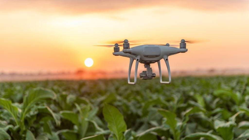 Drone flying over a crop field at sunrise, capturing aerial data for modern precision farming.