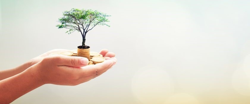 Hands holding a small tree growing from stacked coins, symbolizing growth and investment.