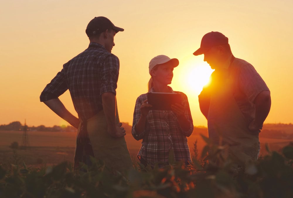 Farm family standing together in a field at sunset, talking and looking across the land.