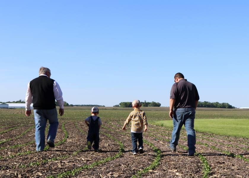 Three generations walking across a young crop field, symbolizing farm transition and family succession.