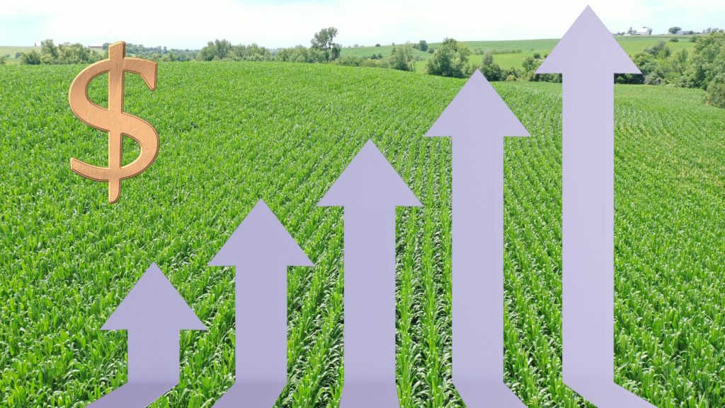 A farmland field with upward arrows and a dollar sign symbolizing increasing farmland values and rising agricultural investment returns.