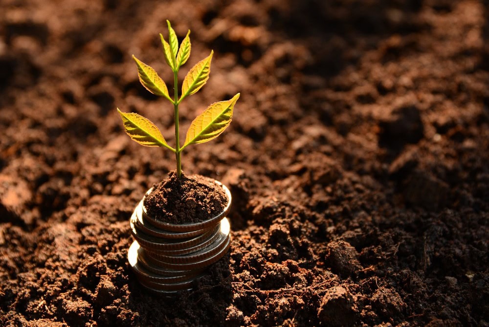 Young plant sprouting from stacked coins in soil, symbolizing Iowa farmland investment growth and sustainability