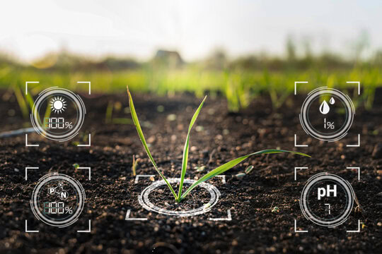 AI technology monitoring soil health, moisture, sunlight, and pH in precision agriculture