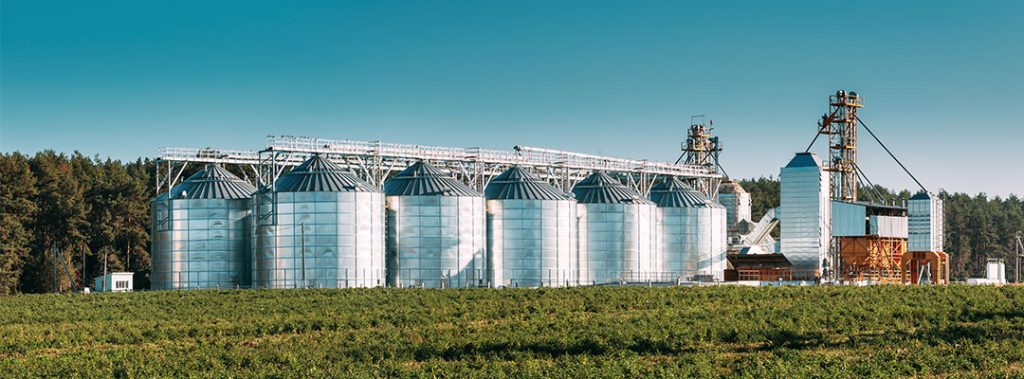 A row of large modern grain storage bins and grain handling equipment at a commercial grain facility beside a crop field.