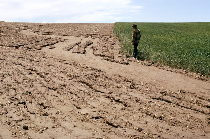 A farmer standing beside a severely eroded field, showing deep ruts and topsoil loss next to healthy green crops.