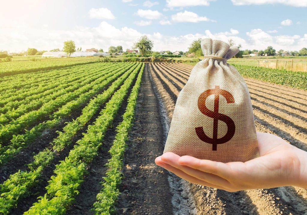 Hand holding a money bag in front of a lush farmland field, symbolizing the financial benefits and investment potential of agricultural land.