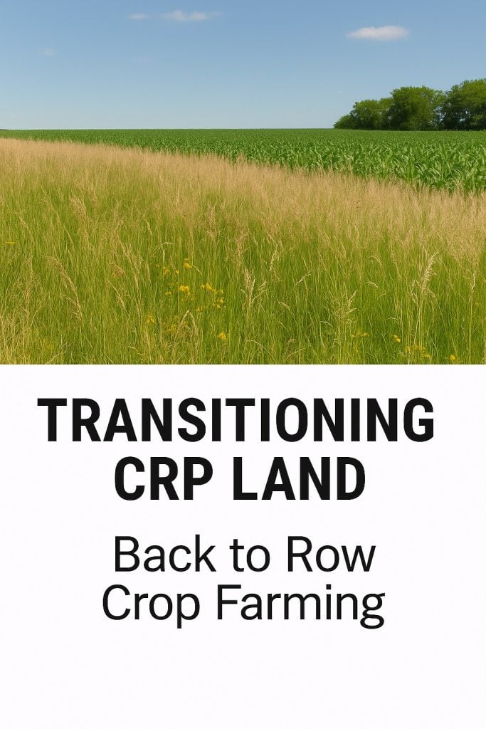 Tall grass CRP land transitioning back into productive row crop farmland under a clear blue sky.