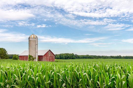 2026 ag outlook featured image showing a red barn and silo behind a green crop field under a blue sky