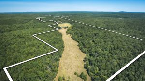 Drone aerial of mostly wooded acreage with a mowed clearing and white boundary lines outlining the property.