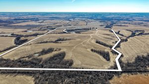 Aerial view of Ringgold County, IA land for sale—Tract 5 (228.47± acres) with the boundary outlined in white, showing open farmland, timbered draws, and a feedlot site with improvements near the north side.