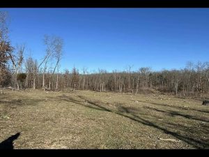 Established food plot on Crawford County Missouri hunting land with wooded habitat for deer and turkey
