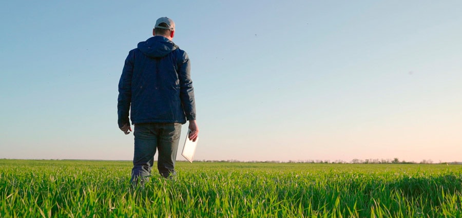 Experienced land broker walking farmland and evaluating crop conditions in the Midwest