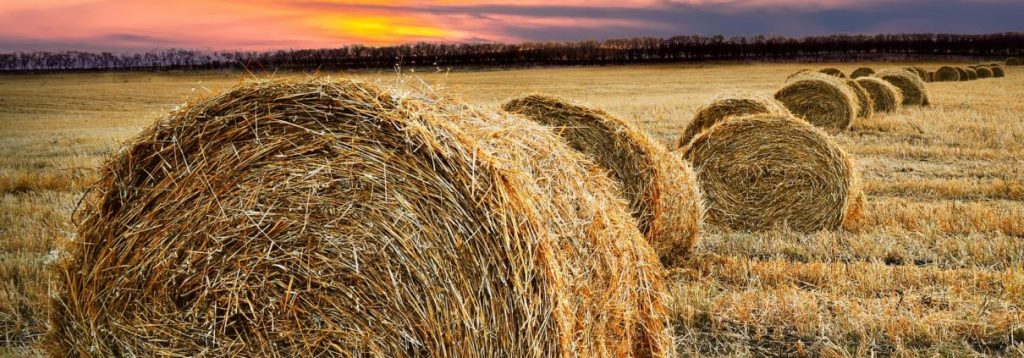 midwest farmland field with hay bales at sunset representing farmland values and land productivity