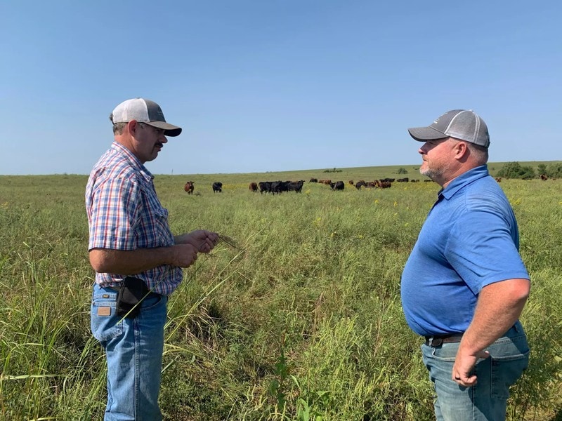 landowner meeting with land agent discussing pasture land value