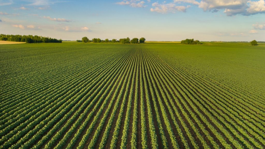 how brokers determine property value farmland crop field midwest