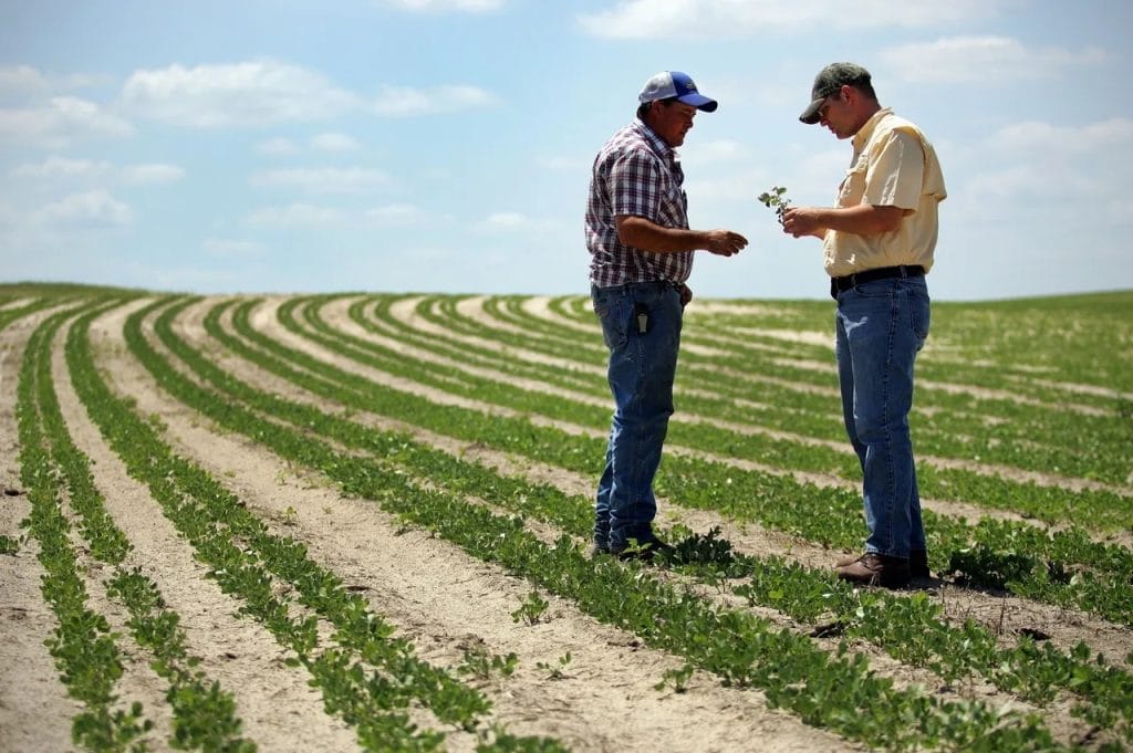 Land specialist evaluating farmland soil and crop conditions with farmer