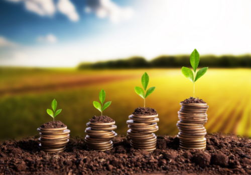 Pricing your land correctly to maximize farmland value and investment growth