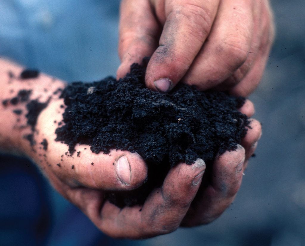 CSR2 rating soil sample showing productive Iowa farmland soils