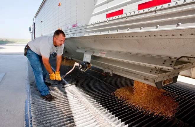 Farmer unloading soybeans as commodity prices impact Iowa farmland demand