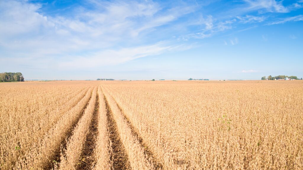Iowa farmland showcasing productive Midwest agricultural land investment