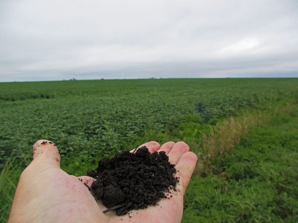 Iowa farmland soil representing CSR2 score and farmland productivity