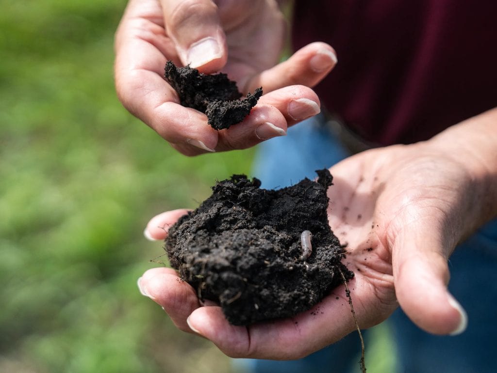 Rich Iowa soil with high organic matter supporting productive farmland
