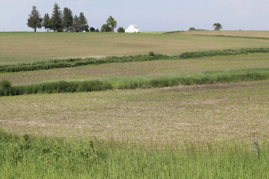 Iowa farmland showing soil quality and land productivity differences