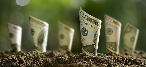 Money growing from soil representing Iowa farmland value and land sales