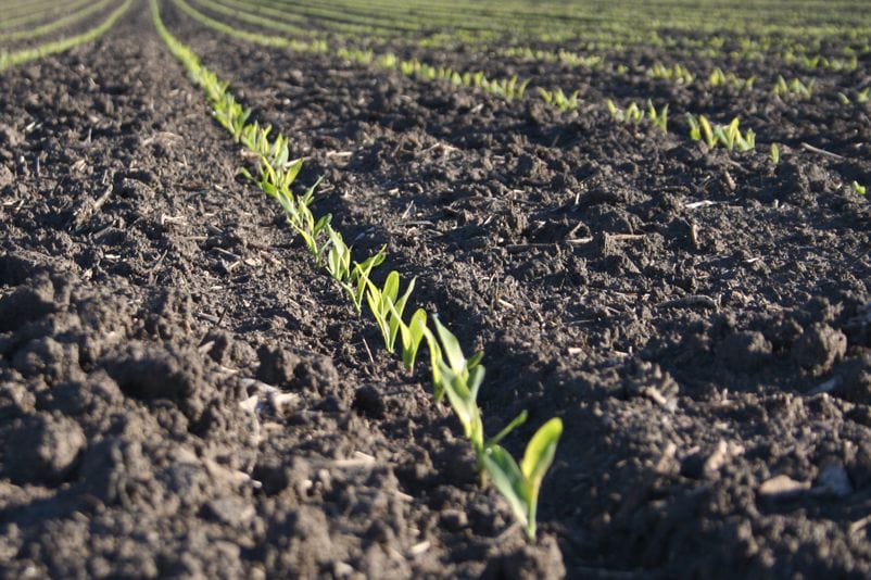 Farmland auctions evaluating soil quality and land value beyond CSR2 scores