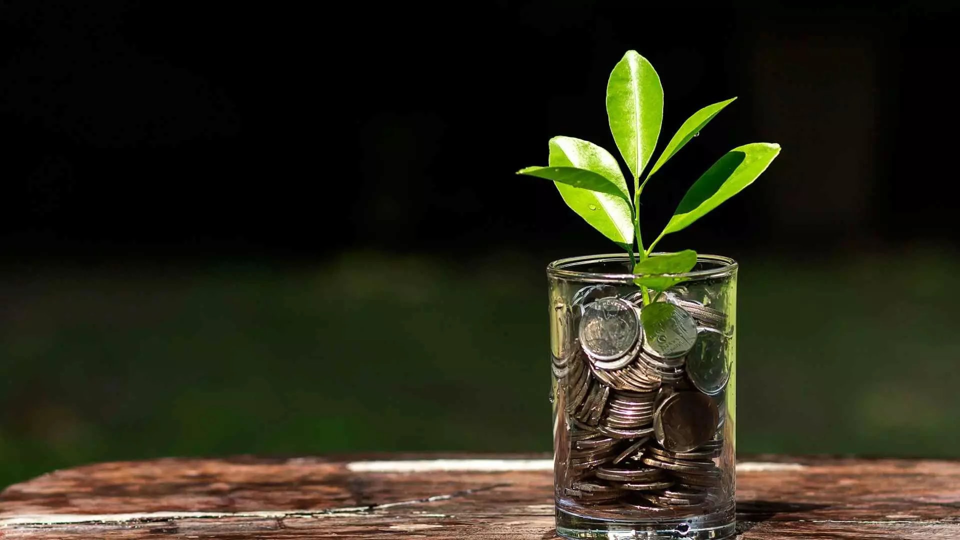 Long-term farmland investment growth and agricultural asset value