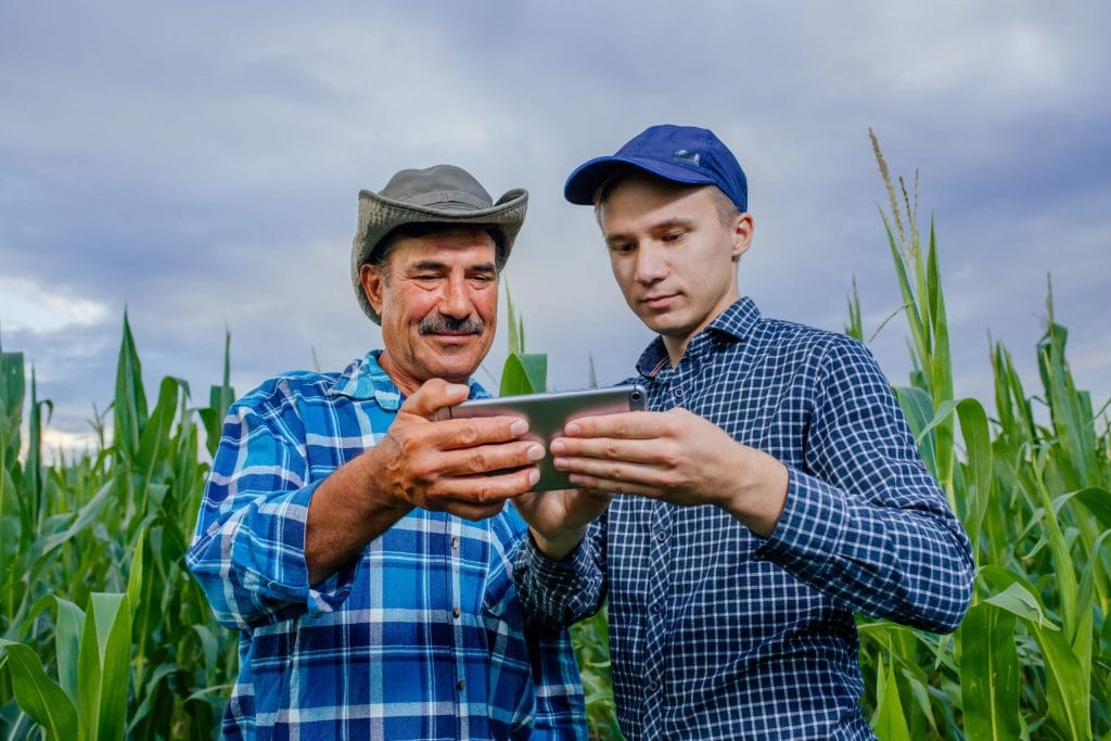 Farmer and younger agricultural professional using tablet technology in a cornfield to combine traditional farming knowledge with modern precision agriculture.