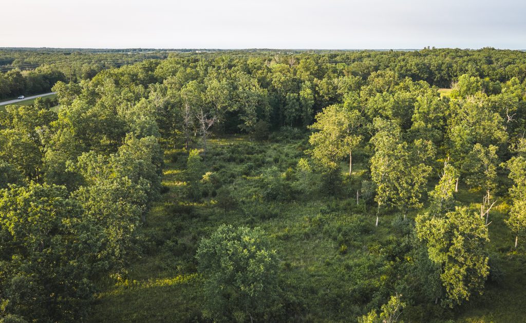 Cuba MO land for sale featuring mature hardwood timber and wildlife habitat in Crawford County Missouri
