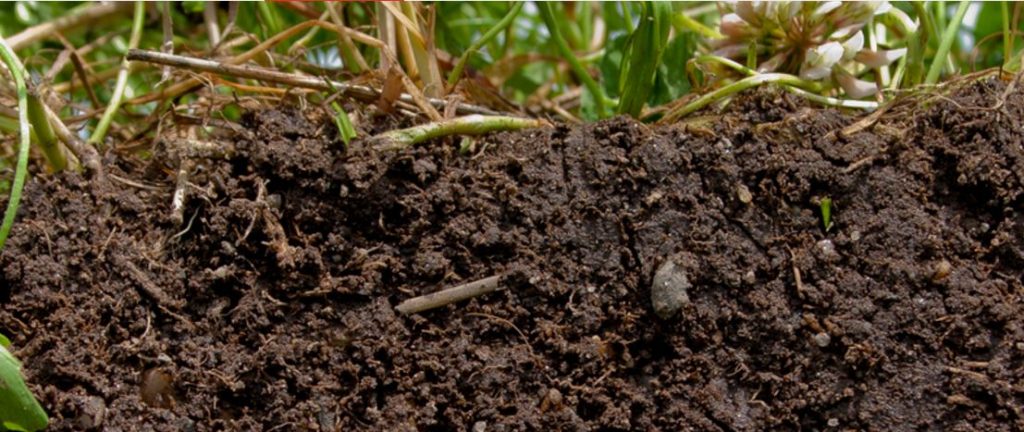 Close-up of healthy, nutrient-rich soil with organic matter and plant roots, demonstrating the importance of soil health and sustainable farmland management.