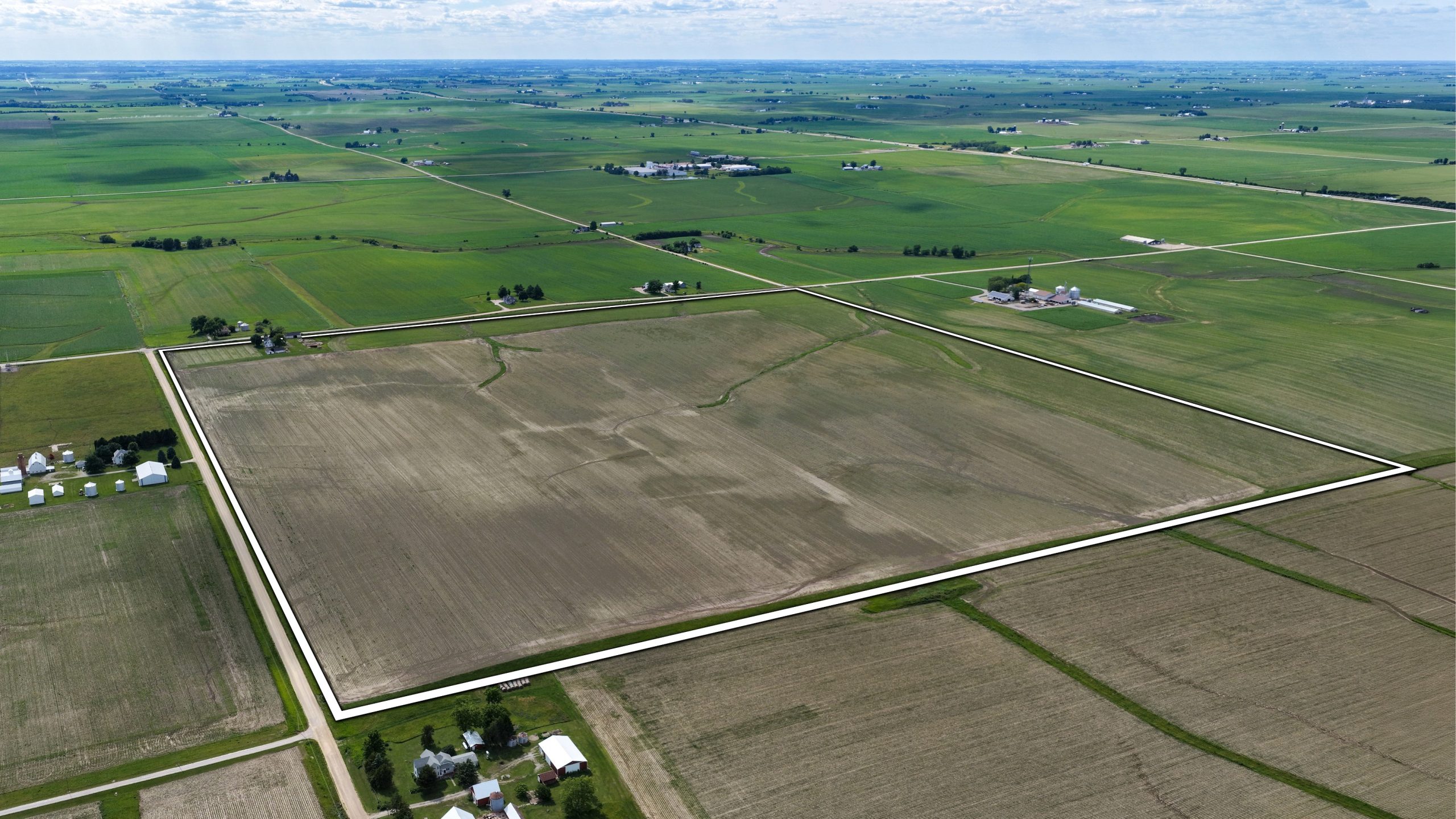Scott County Iowa farmland auction featuring 162± acres of highly productive tillable farmland near Durant, Iowa with a 91.9 CSR2 rating.