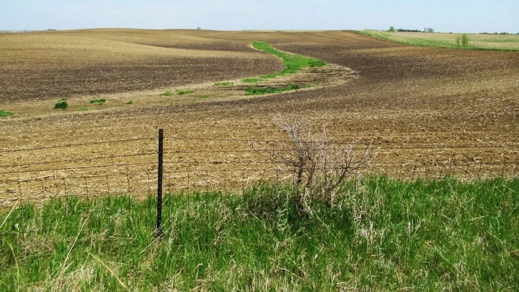 Midwestern farmland with rolling terrain, grass waterway, and productive agricultural soils viewed from a field boundary.