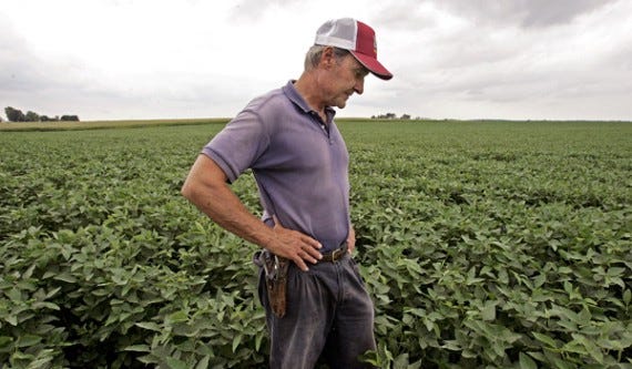 Farmer inspecting a productive soybean field on investment farmland in the Midwest