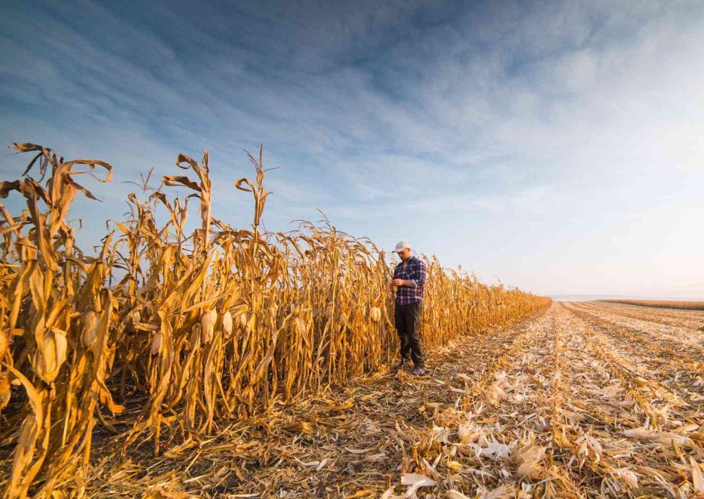 First farm purchase evaluation on productive corn farmland